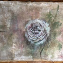 dipinto a mano hand painted botanica rose dipinte rosa dipinta quadro ad olio quadro con rosa